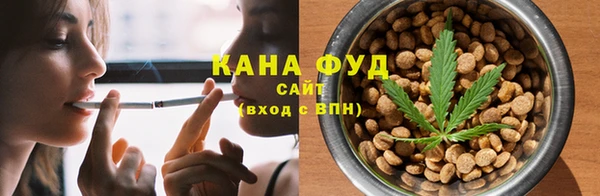 молекула духа Мегион