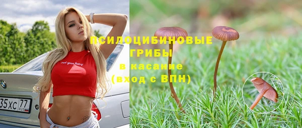 молекула духа Мегион