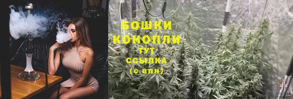 молекула духа Мегион